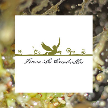 Bodega Finca Las Caraballas