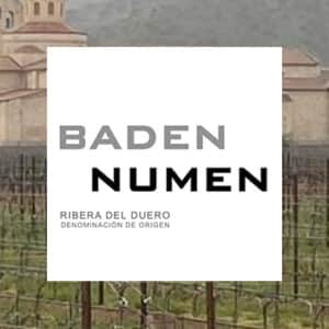Bodegas Bodegas Baden Numen